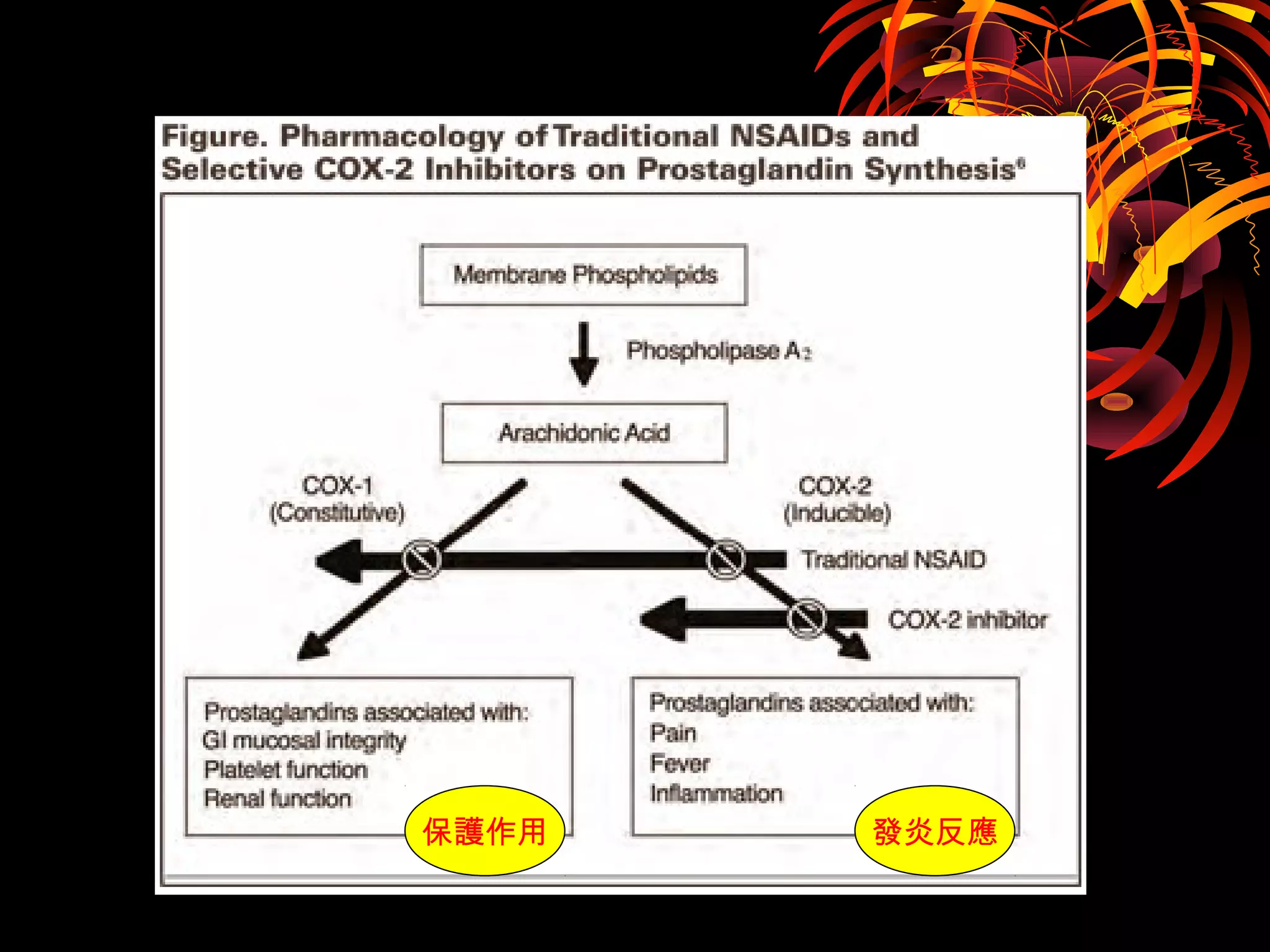 保護作用 發炎反應
 