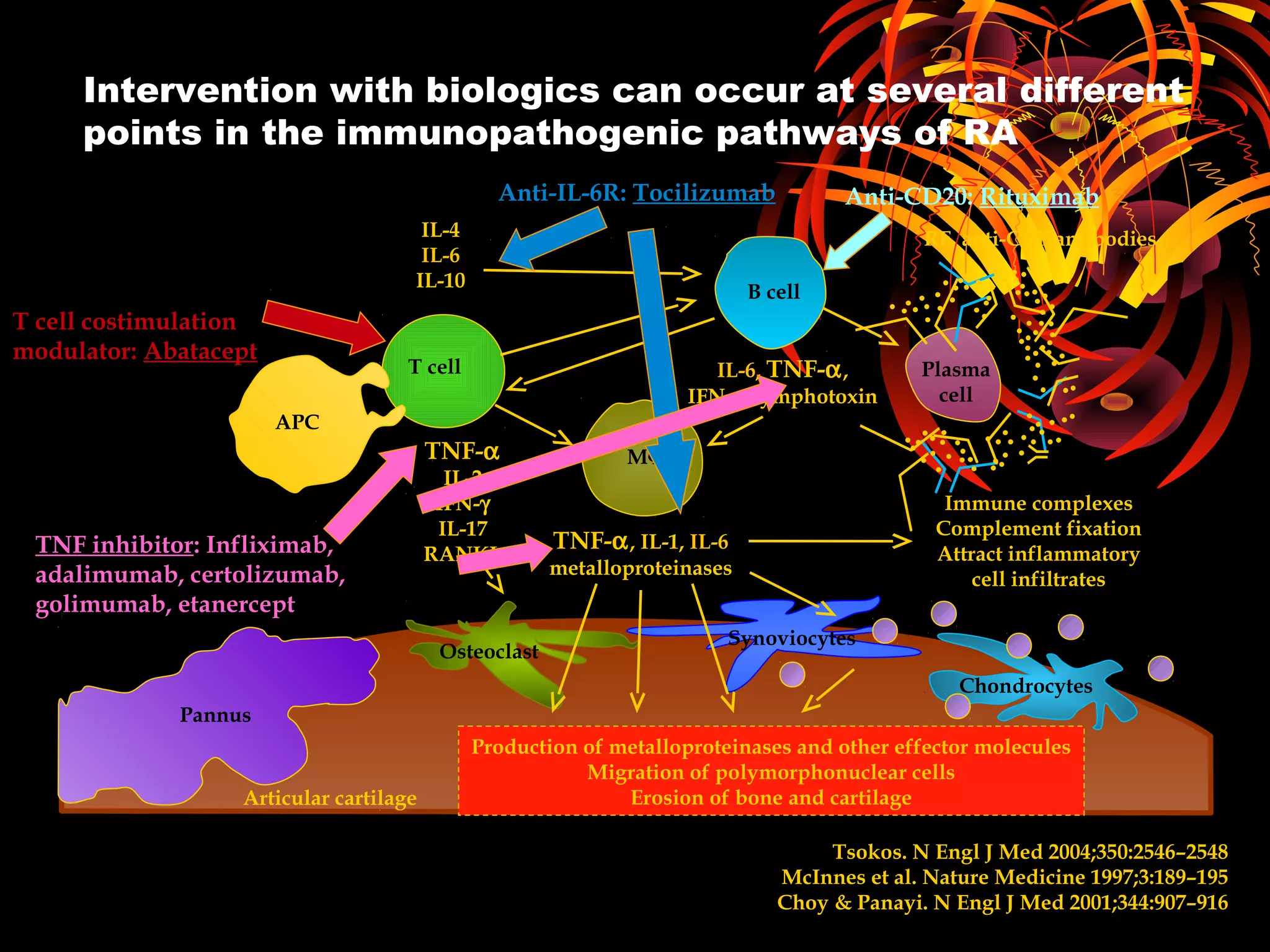 Intervention with biologics can occur at several different
points in the immunopathogenic pathways of RA
Tsokos. N Engl J Med 2004;350:2546–2548
McInnes et al. Nature Medicine 1997;3:189–195
Choy & Panayi. N Engl J Med 2001;344:907–916
IL-4
IL-6
IL-10
RF, anti-CCP antibodies
Immune complexes
Complement fixation
Attract inflammatory
cell infiltrates
IL-6, TNF-α,
IFN-γ, lymphotoxin
TNF-α, IL-1, IL-6
metalloproteinases
TNF-α
IL-2
IFN-γ
IL-17
RANKL
Articular cartilage
Production of metalloproteinases and other effector molecules
Migration of polymorphonuclear cells
Erosion of bone and cartilage
Pannus
Osteoclast
Synoviocytes
Chondrocytes
Plasma
cell
B cell
MΦ
T cell
APC
T cell costimulation
modulator: Abatacept
Anti-CD20: Rituximab
TNF inhibitor: Infliximab,
adalimumab, certolizumab,
golimumab, etanercept
Anti-IL-6R: Tocilizumab
 