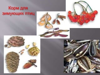 Корм для
зимующих птиц
 