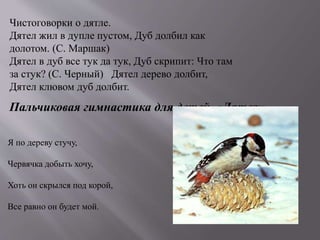 Чистоговорки о дятле.
Дятел жил в дупле пустом, Дуб долбил как
долотом. (С. Маршак)
Дятел в дуб все тук да тук, Дуб скрипит: Что там
за стук? (С. Черный) Дятел дерево долбит,
Дятел клювом дуб долбит.
Пальчиковая гимнастика для детей «Дятел».
Я по дереву стучу,
Червячка добыть хочу,
Хоть он скрылся под корой,
Все равно он будет мой.
 