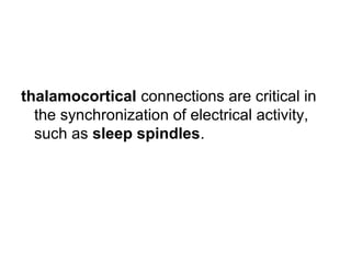 thalamocortical connections are critical in
the synchronization of electrical activity,
such as sleep spindles.
 