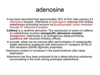 adenosine
It has been described that approximately 30% of Hcrt cells express A1
adenosine receptor. Adenosine is hypnogenic molecule that inhibits
wakefulness promoting neurons via a postsynaptic action mediated
through A1 adenosine receptor.
Caffeine is a xanthine derivative. The mechanism of action of caffeine
on wakefulness involves nonspeciﬁc adenosine receptor
antagonism. Adenosine is an endogenous sleep-promoting
substance with neuronal inhibitory effects.
In animals, sleep can be induced after administration of metabolically
stable adenosine analogues with adenosine A1 receptors (A1R) or
A2A receptors (A2AR) agonistic properties.
Adenosine content is increased in the basal forebrain after sleep
deprivation.
Adenosine has thus been proposed to be a sleep-inducing substance
accumulating in the brain during prolonged wakefulness .
 
