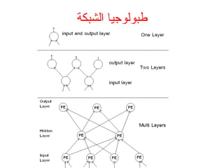 ‫الشبكة‬ ‫طبولواجيا‬
 