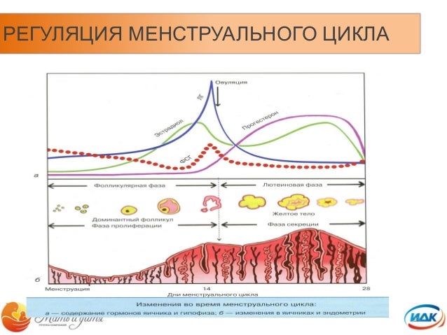 Поднимается уровень антифриза