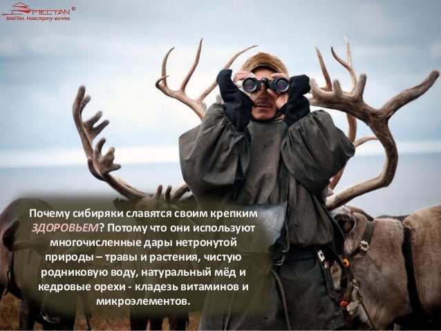 Почему сибиряки ненавидят москвичей Почему сибиряки ненавидят москвичей