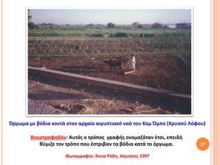 27
Βουστροφηδόν: Αυτός ο τρόπος γραφής ονομαζόταν έτσι, επειδή
θύμιζε τον τρόπο που έστριβαν τα βόδια κατά το όργωμα.
Όργωμα με βόδια κοντά στον αρχαίο αιγυπτιακό ναό του Κομ Όμπο (Χρυσού Λόφου)
Φωτογραφία: Άννα Ρόδη, Αίγυπτος 1997
 