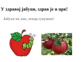У здравој јабуци, здрав је и црв!
Јабука на дан, лекар сувушан!
 