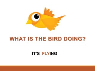 WHAT IS THE BIRD DOING?
IT’S FLYING
 
