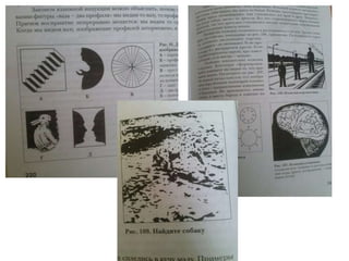 реклама учебника биологии. воронина к