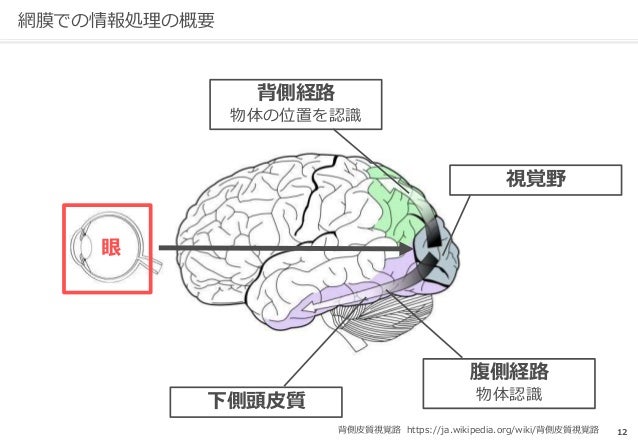 人工知能研究のための視覚情報処理