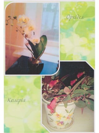 Портфоліо "Життєвих  та творчих миттєвостей" провідного методиста Кам'янець-Подільської МЦБС Тамари Вонсович