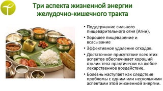 • Поддержание сильного
пищеварительного огня (Агни),
• Хорошее пищеварение и
всасывание
• Эффективное удаление отходов.
• Достаточное присутствие всех этих
аспектов обеспечивает хороший
отклик тела практически на любое
лекарственное воздействие.
• Болезнь наступает как следствие
проблемы с одним или несколькими
аспектами этой жизненной энергии.
 