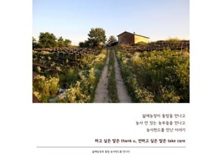 자연농법 삶애농장 농사펀드를 만나다 farming fund natural Korean ginseng