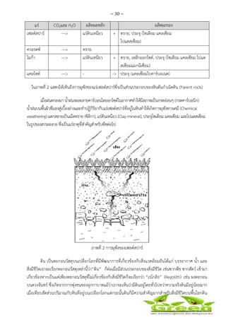 ~ 30 ~
 
 
แร่ CO2และ H2O ผลิตผลหลัก ผลิตผลรอง
เฟลด์สปาร์ ---> แร่ดินเหนียว + ทราย, ประจุ (โซเดียม แคลเซียม
โปแตสเซียม)
ควอรตซ์ ---> ทราย
ไมก้า ---> แร่ดินเหนียว + ทราย, เหล็กออกไซด์, ประจุ (โซเดียม แคลเซียม โปแต
สเซียมแมกนีเซียม)
แคลไซต์ ---> - -> ประจุ (แคลเซียมไบคาร์บอเนต)
ในภาพที่ 2 แสดงให้เห็นถึงการผุพังของแร่เฟลด์สปาร์ซึ่งเป็นส่วนประกอบของหินต้นกําเนิดดิน (Parent rock)
เมื่อฝนตกลงมา น้ําฝนจะละลายคาร์บอนไดออกไซด์ในอากาศทําให้มีสภาพเป็นกรดอ่อนๆ (กรดคาร์บอนิก)
น้ําฝนบนพื้นผิวซึมลงสู่เบื้องล่างและทําปฏิกิริยากับแร่เฟลด์สปาร์ที่อยู่ในหินทําให้เกิดการผุพังทางเคมี (Chemical
weathering) แตกสลายเป็นเม็ดทราย (ซิลิกา), แร่ดินเหนียว (Clay mineral), ประจุโซเดียม แคลเซียม และโปแตสเซียม
ในรูปของสารละลาย ซึ่งเป็นแร่ธาตุที่สําคัญสําหรับพืชต่อไป
ภาพที่ 2 การผุพังของเฟลด์สปาร์
ดิน เป็นตะกอนวัสดุบนเปลือกโลกที่มีพัฒนาการที่เกี่ยวข้องกับสิ่งแวดล้อมอันได้แก่ บรรยากาศ น้ํา และ
สิ่งมีชีวิตเราจะเรียกตะกอนวัสดุเหล่านี้ว่า“ดิน” ก็ต่อเมื่อมีส่วนประกอบของสิ่งมีชีวิต เช่นซากพืช ซากสัตว์ เข้ามา
เกี่ยวข้องหากเป็นแต่เพียงตะกอนวัสดุที่ไม่เกี่ยวข้องกับสิ่งมีชีวิตก็จะเรียกว่า “เรโกลิธ” (Regolith) เช่น ผงตะกอน
บนดวงจันทร์ ซึ่งเกิดจากการพุ่งชนของอุกกาบาตแม้ว่าเราจะเห็นว่ามีดินอยู่โดยทั่วไปทว่าความจริงดินมีอยู่น้อยมาก
เมื่อเทียบสัดส่วนปริมาณกับหินที่อยู่บนเปลือกโลกแต่กระนั้นดินก็มีความสําคัญมากสําหรับสิ่งมีชีวิตบนพื้นโลกดิน
 