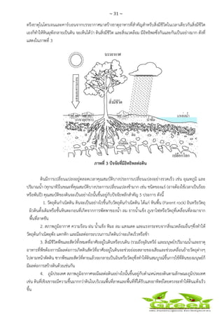 ~ 31 ~
 
 
ตรึงธาตุไนโตรเจนและคาร์บอนจากบรรยากาศมาสร้างธาตุอาหารที่สําคัญสําหรับสิ่งมีชีวิตในเวลาเดียวกันสิ่งมีชีวิต
เองก็ทําให้หินผุพังกลายเป็นดิน จะเห็นได้ว่า ดินสิ่งมีชีวิต และสิ่งแวดล้อม มีอิทธิพลซึ่งกันและกันเป็นอย่างมาก ดังที่
แสดงในภาพที่ 3
ภาพที่ 3 ปัจจัยที่มีอิทธิพลต่อดิน
ดินมีการเปลี่ยนแปลงอยู่ตลอดเวลาคุณสมบัติบางประการเปลี่ยนแปลงอย่างรวดเร็ว เช่น อุณหภูมิ และ
ปริมาณน้ํา (ทุกนาที)ในขณะที่คุณสมบัติบางประการเปลี่ยนแปลงช้ามาก เช่น ชนิดของแร่ (อาจต้องใช้เวลาเป็นร้อย
หรือพันปี) คุณสมบัติของดินจะเป็นอย่างไรนั้นขึ้นอยู่กับปัจจัยหลักสําคัญ 5 ประการ ดังนี้
1. วัตถุต้นกําเนิดดิน ดินจะเป็นอย่างไรขึ้นกับวัตถุต้นกําเนิดดิน ได้แก่ หินพื้น (Parent rock) อินทรียวัตถุ
ผิวดินดั้งเดิมหรือชั้นหินตะกอนที่เกิดจากการพัดพาของน้ํา ลม ธารน้ําแข็ง ภูเขาไฟหรือวัตถุที่เคลื่อนที่ลงมาจาก
พื้นที่ลาดชัน
2. สภาพภูมิอากาศ ความร้อน ฝน น้ําแข็ง หิมะ ลม แสงแดด และแรงกระทบจากสิ่งแวดล้อมอื่นๆซึ่งทําให้
วัตถุต้นกําเนิดผุพัง แตกหัก และมีผลต่อกระบวนการเกิดดินว่าจะเกิดเร็วหรือช้า
3. สิ่งมีชีวิตพืชและสัตว์ทั้งหมดที่อาศัยอยู่ในดินหรือบนดิน (รวมถึงจุลินทรีย์ และมนุษย์)ปริมาณน้ําและธาตุ
อาหารที่พืชต้องการมีผลต่อการเกิดดินสัตว์ที่อาศัยอยู่ในดินจะช่วยย่อยสลายของเสียและช่วยเคลื่อนย้ายวัตถุต่างๆ
ไปตามหน้าตัดดิน ซากพืชและสัตว์ที่ตายแล้วจะกลายเป็นอินทรียวัตถุซึ่งทําให้ดินสมบูรณ์ขึ้นการใช้ที่ดินของมนุษย์ก็
มีผลต่อการสร้างดินด้วยเช่นกัน
4. ภูมิประเทศ สภาพภูมิอากาศจะมีผลต่อดินอย่างไรนั้นขึ้นอยู่กับตําแหน่งของดินตามลักษณะภูมิประเทศ
เช่น ดินที่เชิงเขาจะมีความชื้นมากกว่าดินในบริเวณพื้นที่ลาดและพื้นที่ที่ได้รับแสงอาทิตย์โดยตรงจะทําให้ดินแห้งเร็ว
ขึ้น
 