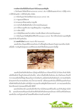 ~ 45 ~
 
 
การผลิตสารอินทรีย์เพื่อป้องกันและกําจัดโรคและแมลงศัตรูพืช
1. ป้องกันและกําจัดโดยวิธีกล(mechanical control) เช่น การใช้มือจับแมลงมาทําลาย การใช้มุ้ง ตาข่าย
การใช้กับดักแสงไฟ การใช้กับดักเหนียว เป็นต้น
2. การป้องกันและกําจัด โดยวิธีเขตกรรม(cultural control) เช่น
2.1 การดูแลแปลงให้สะอาด
2.2 หาระยะเวลาที่เหมาะสมในการปลูกพืช
2.3 การเก็บเกี่ยวพืชเพื่อหลีกเลี่ยงการทําลายของโรคและแมลง
2.4 การใช้ระบบปลูกพืช เช่นการปลูกพืชหมุนเวียน การปลูกพืชแซม
2.5 การจัดการให้น้ํา
2.6 การใส่ปุ๋ยให้เหมาะสมกับความต้องการของพืช เพื่อลดการทําลายของโรคและแมลง
3. การป้องกันและกําจัดศัตรูพืชโดยวิธีชีวะวิธี (biological control) คือการใช้ประโยชน์จากแมลงศัตรูพืช
ธรรมชาติ คือ ตัวห้ําและตัวเบียน
3.1 แมลงตัวเบียน(Parasitic Insects หรือ Parasitoids)
แมลงตัวเบียน เป็นแมลงที่มีช่วงระยะตัวอ่อน ดํารงชีวิตอยู่ด้วยอาศัยและหากินอยู่ภายนอกหรือภายในตัว
เหยื่อเพื่อ การเจริญเติบโตอยู่จนครบวงจรชีวิตของพวกมันทําให้เหยื่ออ่อนแอและตายในที่สุด
แมลงตัวเบียนตัวเมียตัวเต็มวัยจะวางไข่อยู่บนหรือใช้อวัยวะวางไข่แทงเข้าไปใน ไข่ ตัวอ่อน ดักแด้ หรือตัว
เหยื่อที่โตเต็มวัย ขึ้นอยู่กับชนิดของตัวเบียนนั้นๆ หลังจากนั้นเมื่อไข่ฟักเป็นตัวอ่อน เช่น เป็นตัวหนอน ซึ่งจะใช้
ร่างกายของเหยื่อเป็นทั้งที่อยู่อาศัยและเป็นอาหารไปพร้อมกัน แต่เมื่อเติบโตเป็นตัวเต็มวัยแล้ว อาหารของตัวเต็มวัย
มักจะแตกต่างกับอาหารของตัวอ่อน เช่น น้ําหวานจากดอกไม้ เหยื่อของแมลงตัวเบียน มีทั้งที่เป็นแมลงด้วยกันเอง
หรือสัตว์ชนิดอื่นๆตัวเบียนมีความสําคัญในการควบคุมปริมาณศัตรูพืชเป็นโดยธรรมชาติ เราอาจแบ่งแมลงตัวเบียน
โดยอาศัยระยะต่างๆของแมลงที่เป็นเหยื่อ ได้ดังนี้
แมลงเบียนไข่หมายถึง แมลงเบียนที่อาศัยหากินภายในไข่ของแมลงที่เป็นเหยื่อ และเข้าดักแด้อยู่ภายในไข่
นั้น แมลงเบียนหนอนหรือแมลงเบียนตัวอ่อนซึ่งตัวเต็มวัยตัวเมียของแมลงเบียนจะวางไข่ไว้บนหรือในตัวหนอน
แมลงตัวเบียน จะเข้าสู่ระยะดักแด้ ในขณะที่ตัวเหยื่อตายก่อนเข้าระยะดักแด้
 