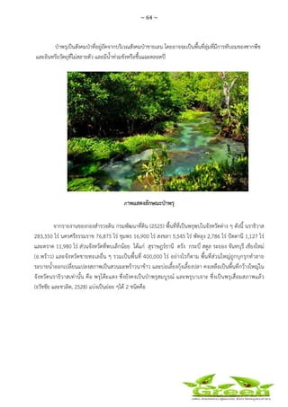 ~ 64 ~
 
 
ป่าพรุเป็นสังคมป่าที่อยู่ถัดจากบริเวณสังคมป่าชายเลน โดยอาจจะเป็นพื้นที่ลุ่มที่มีการทับถมของซากพืช
และอินทรียวัตถุที่ไม่สลายตัว และมีน้ําท่วมขังหรือชื้นแฉะตลอดปี
ภาพแสดงลักษณะป่าพรุ
จากรายงานของกองสํารวจดิน กรมพัฒนาที่ดิน (2525) พื้นที่ที่เป็นพรุพบในจังหวัดต่าง ๆ ดังนี้ นราธิวาส
283,350 ไร่ นครศรีธรรมราช 76,875 ไร่ ชุมพร 16,900 ไร่ สงขลา 5,545 ไร่ พัทลุง 2,786 ไร่ ปัตตานี 1,127 ไร่
และตราด 11,980 ไร่ ส่วนจังหวัดที่พบเล็กน้อย ได้แก่ สุราษฎร์ธานี ตรัง กระบี่ สตูล ระยอง จันทบุรี เชียงใหม่
(อ.พร้าว) และจังหวัดชายทะเลอื่น ๆ รวมเป็นพื้นที่ 400,000 ไร่ อย่างไรก็ตาม พื้นที่ส่วนใหญ่ถูกบุกรุกทําลาย
ระบายน้ําออกเปลี่ยนแปลงสภาพเป็นสวนมะพร้าวนาข้าว และบ่อเลี้ยงกุ้งเลี้ยงปลา คงเหลือเป็นพื้นที่กว้างใหญ่ใน
จังหวัดนราธิวาสเท่านั้น คือ พรุโต๊ะแดง ซึ่งยังคงเป็นป่าพรุสมบูรณ์ และพรุบาเจาะ ซึ่งเป็นพรุเสื่อมสภาพแล้ว
(ธวัชชัย และชวลิต, 2528) แบ่งเป็นย่อย ๆได้ 2 ชนิดคือ
 