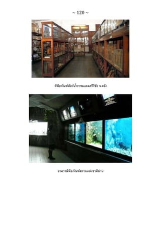 ทักษะการเรียนรู้ ม.ปลาย ทร31001