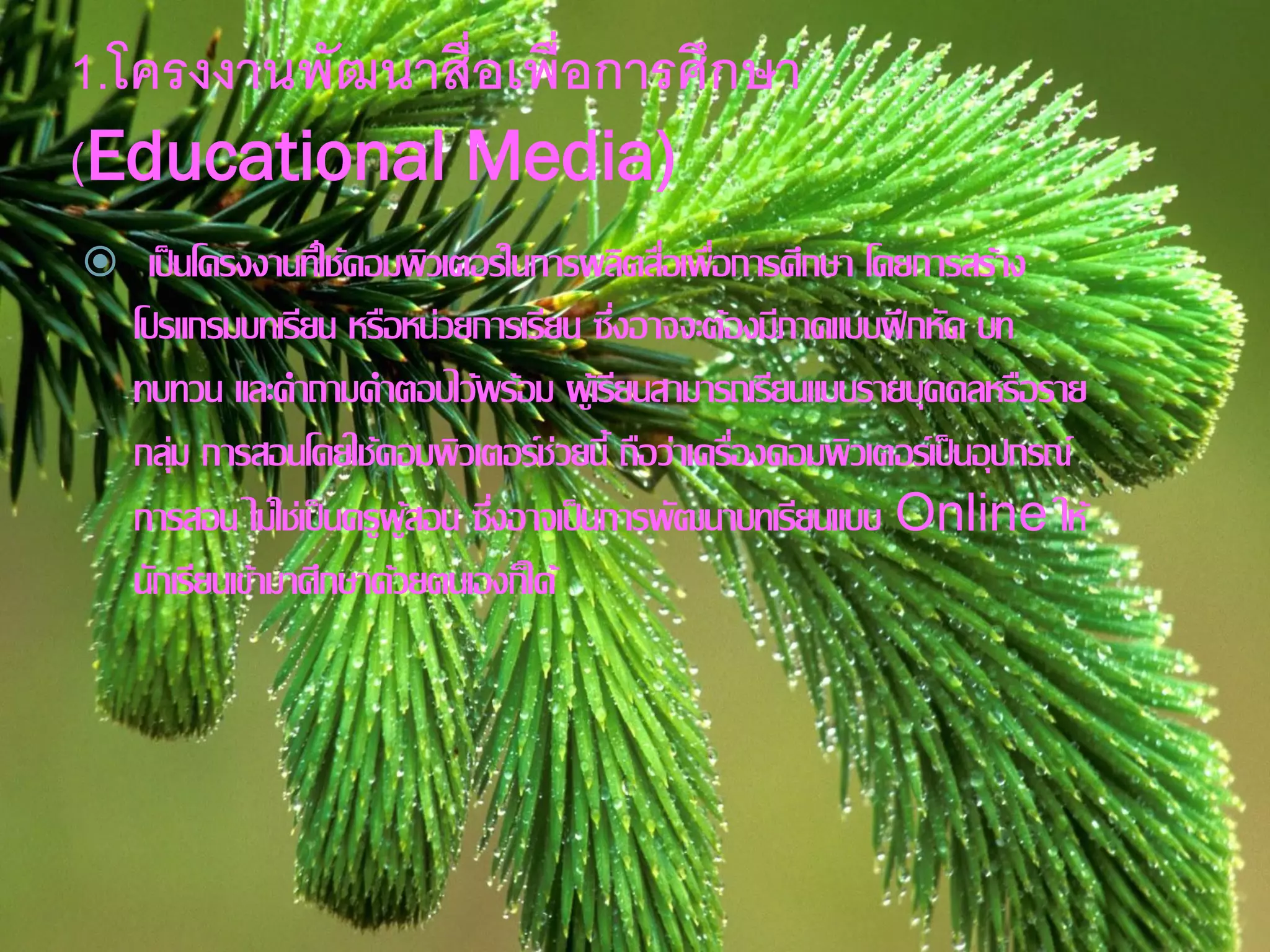 1.โครงงานพัฒนาสื่อเพื่อการศึกษา
(Educational Media)
 เป็นโครงงานที่ใช้คอมพิวเตอร์ในการผลิตสื่อเพื่อการศึกษา โดยการสร้าง
โปรแกรมบทเรียน หรือหน่วยการเรียน ซึ่งอาจจะต้องมีภาคแบบฝึกหัด บท
ทบทวน และคาถามคาตอบไว้พร้อม ผู้เรียนสามารถเรียนแบบรายบุคคลหรือราย
กลุ่ม การสอนโดยใช้คอมพิวเตอร์ช่วยนี้ ถือว่าเครื่องคอมพิวเตอร์เป็นอุปกรณ์
การสอน ไม่ใช่เป็นครูผู้สอน ซึ่งอาจเป็นการพัฒนาบทเรียนแบบ Online ให้
นักเรียนเข้ามาศึกษาด้วยตนเองก็ได้
 