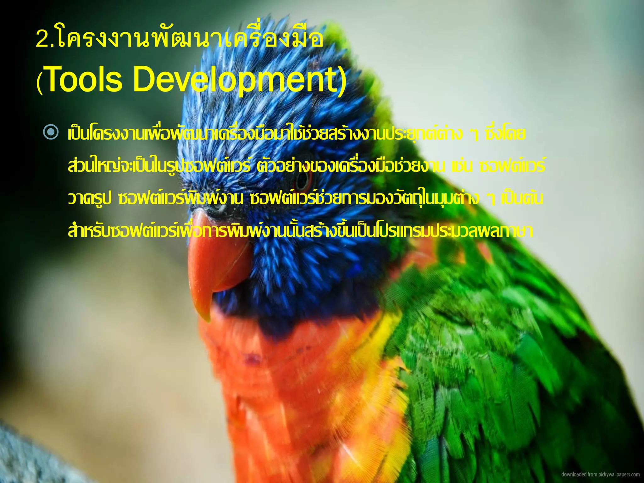 2.โครงงานพัฒนาเครื่องมือ
(Tools Development)
 เป็นโครงงานเพื่อพัฒนาเครื่องมือมาใช้ช่วยสร้างงานประยุกต์ต่าง ๆ ซึ่งโดย
ส่วนใหญ่จะเป็นในรูปซอฟต์แวร์ ตัวอย่างของเครื่องมือช่วยงาน เช่น ซอฟต์แวร์
วาดรูป ซอฟต์แวร์พิมพ์งาน ซอฟต์แวร์ช่วยการมองวัตถุในมุมต่าง ๆ เป็นต้น
สาหรับซอฟต์แวร์เพื่อการพิมพ์งานนั้นสร้างขึ้นเป็นโปรแกรมประมวลผลภาษา
 