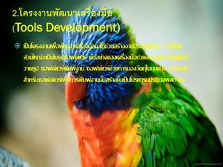 2.โครงงานพัฒนาเครื่องมือ
(Tools Development)
 เป็นโครงงานเพื่อพัฒนาเครื่องมือมาใช้ช่วยสร้างงานประยุกต์ต่าง ๆ ซึ่งโดย
ส่วนใหญ่จะเป็นในรูปซอฟต์แวร์ ตัวอย่างของเครื่องมือช่วยงาน เช่น ซอฟต์แวร์
วาดรูป ซอฟต์แวร์พิมพ์งาน ซอฟต์แวร์ช่วยการมองวัตถุในมุมต่าง ๆ เป็นต้น
สาหรับซอฟต์แวร์เพื่อการพิมพ์งานนั้นสร้างขึ้นเป็นโปรแกรมประมวลผลภาษา
 