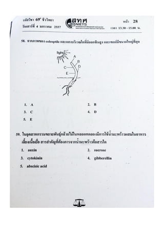 ข้อสอบ 7 วิชาสามัญ ชีวะ