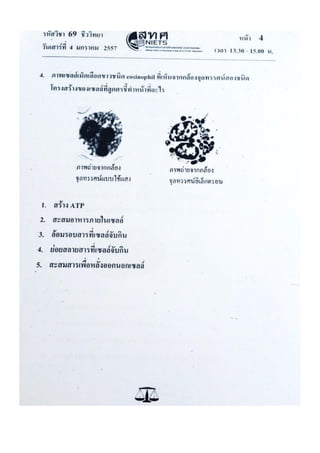 ข้อสอบ 7 วิชาสามัญ ชีวะ