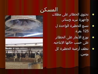 ‫المسكن‬‫المسكن‬
‫مظلت‬ ‫على‬ ‫الحظائر‬ ‫تحتوي‬‫مظلت‬ ‫على‬ ‫الحظائر‬ ‫تحتوي‬
.‫وستائر‬ ‫تبريد‬ ‫وأجهزة‬.‫وستائر‬ ‫تبريد‬ ‫وأجهزة‬
‫ل‬ ‫الواحدة‬ ‫الحظيرة‬ ‫تتسع‬‫ل‬ ‫الواحدة‬ ‫الحظيرة‬ ‫تتسع‬
125125.‫بقرة‬.‫بقرة‬
‫الحظائر‬ ‫على‬ ‫البقار‬ ‫توزع‬‫الحظائر‬ ‫على‬ ‫البقار‬ ‫توزع‬
.‫النتاجيه‬ ‫حالتها‬ ‫حسب‬ ‫على‬.‫النتاجيه‬ ‫حالتها‬ ‫حسب‬ ‫على‬
‫كل‬ ‫الحظيرة‬ ‫أرضية‬ ‫تنظف‬‫كل‬ ‫الحظيرة‬ ‫أرضية‬ ‫تنظف‬
.‫يومين‬.‫يومين‬
 