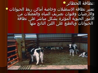 ‫الحظائر‬ ‫نظافة‬‫الحظائر‬ ‫نظافة‬::
‫الحيوانات‬ ‫ربط‬ ‫أماكن‬ ‫وخاصة‬ ‫السطبلت‬ ‫نظافة‬ ‫تعتبر‬‫الحيوانات‬ ‫ربط‬ ‫أماكن‬ ‫وخاصة‬ ‫السطبلت‬ ‫نظافة‬ ‫تعتبر‬
‫من‬ ‫والفضلت‬ ‫المياه‬ ‫تصريف‬ ‫وقنوات‬ ‫والرضيات‬‫من‬ ‫والفضلت‬ ‫المياه‬ ‫تصريف‬ ‫وقنوات‬ ‫والرضيات‬
‫نظافة‬ ‫على‬ ‫مباشر‬ ‫بشكل‬ ‫المؤثرة‬ ‫الحيوية‬ ‫المور‬‫نظافة‬ ‫على‬ ‫مباشر‬ ‫بشكل‬ ‫المؤثرة‬ ‫الحيوية‬ ‫المور‬
‫منها‬ ‫الناتج‬ ‫اللبن‬ ‫على‬ ‫وبالطبع‬ ‫الحيوانات‬‫منها‬ ‫الناتج‬ ‫اللبن‬ ‫على‬ ‫وبالطبع‬ ‫الحيوانات‬
 