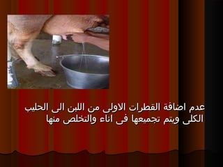 ‫الحليب‬ ‫الى‬ ‫اللبن‬ ‫من‬ ‫الولى‬ ‫القطرات‬ ‫اضافة‬ ‫عدم‬‫الحليب‬ ‫الى‬ ‫اللبن‬ ‫من‬ ‫الولى‬ ‫القطرات‬ ‫اضافة‬ ‫عدم‬
‫منها‬ ‫والتخلص‬ ‫اناء‬ ‫فى‬ ‫تجميعها‬ ‫ويتم‬ ‫الكلى‬‫منها‬ ‫والتخلص‬ ‫اناء‬ ‫فى‬ ‫تجميعها‬ ‫ويتم‬ ‫الكلى‬
 