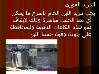 ‫الفوري‬ ‫التبريد‬‫الفوري‬ ‫التبريد‬
‫يمكن‬ ‫ما‬ ‫ةبأسرع‬ ‫الخام‬ ‫اللبن‬ ‫تبريد‬ ‫يجب‬‫يمكن‬ ‫ما‬ ‫ةبأسرع‬ ‫الخام‬ ‫اللبن‬ ‫تبريد‬ ‫يجب‬
‫ليقاف‬ ‫وذلك‬ ‫مباشرة‬ ‫الحليب‬ ‫ةبعد‬ ‫أي‬‫ليقاف‬ ‫وذلك‬ ‫مباشرة‬ ‫الحليب‬ ‫ةبعد‬ ‫أي‬
‫وللمحافظة‬ ‫الدقيقة‬ ‫الكائنات‬ ‫هذه‬ ‫تنمو‬‫وللمحافظة‬ ‫الدقيقة‬ ‫الكائنات‬ ‫هذه‬ ‫تنمو‬
‫اللبن‬ ‫حفظ‬ ‫وقوة‬ ‫جودة‬ ‫على‬‫اللبن‬ ‫حفظ‬ ‫وقوة‬ ‫جودة‬ ‫على‬
 