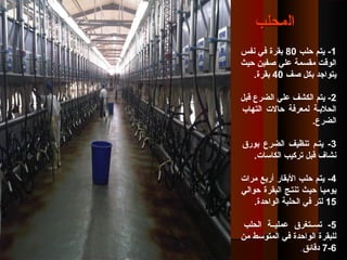 1‫حلب‬ ‫يتم‬ -80‫نفس‬ ‫في‬ ‫قبقرة‬
‫حيث‬ ‫صفين‬ ‫علي‬ ‫مقسمة‬ ‫الوقت‬
‫صف‬ ‫قبكل‬ ‫يتواجد‬40.‫قبقرة‬
2‫قبل‬ ‫الضرع‬ ‫علي‬ ‫الكشف‬ ‫يتم‬ -
‫التهاب‬ ‫حالت‬ ‫لمعرفة‬ ‫الحلقبية‬
.‫الضرع‬
3‫قبورق‬ ‫الضرع‬ ‫تنظيف‬ ‫يتيم‬ -
.‫الكاسات‬ ‫تركيب‬ ‫قبل‬ ‫نشاف‬
4‫مرات‬ ‫أرقبع‬ ‫القبقار‬ ‫حلب‬ ‫يتم‬ -
‫حوالي‬ ‫البقرة‬ ‫تنتيج‬ ‫حييث‬ ‫يومييا‬
15.‫الواحدة‬ ‫الحلبة‬ ‫في‬ ‫لتر‬
5‫الحلب‬ ‫عملييية‬ ‫تسييتغرق‬ -
‫من‬ ‫المتوسط‬ ‫في‬ ‫الواحدة‬ ‫للبقرة‬
6-7‫دقائق‬.
‫ال‬‫ال‬‫محلب‬‫محلب‬
 