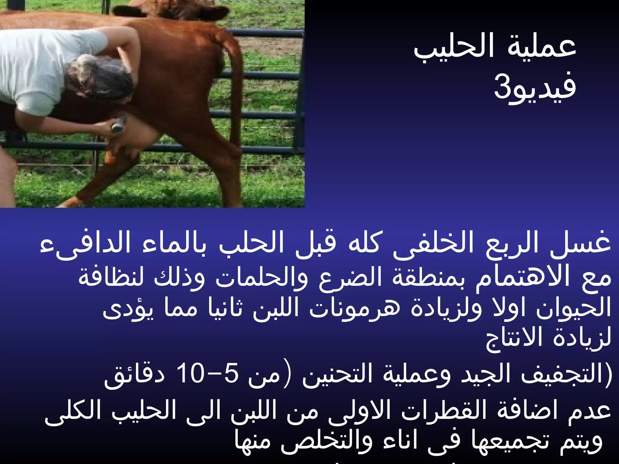 ‫ع‬‫الحلي‬ ‫ملية‬‫ب‬
‫فيديو‬3
‫الدافىء‬ ‫بالماء‬ ‫الحلب‬ ‫قبل‬ ‫كله‬ ‫الخلفى‬ ‫الربع‬ ‫غسل‬
‫الهتمام‬ ‫مع‬‫لنظافة‬ ‫وذلك‬ ‫والحلمات‬ ‫الضرع‬ ‫بمنطقة‬
‫يؤدى‬ ‫مما‬ ‫ثانيا‬ ‫اللبن‬ ‫هرمونات‬ ‫ولزيادة‬ ‫اول‬ ‫الحيوان‬
‫النتاج‬ ‫لزيادة‬
)‫من‬ ‫التحنين‬ ‫وعملية‬ ‫الجيد‬ ‫التجفيف‬5-10‫دقائق‬ )
‫الكلى‬ ‫الحليب‬ ‫الى‬ ‫اللبن‬ ‫من‬ ‫الولى‬ ‫القطرات‬ ‫اضافة‬ ‫عدم‬
‫منها‬ ‫والتخلص‬ ‫اناء‬ ‫فى‬ ‫تجميعها‬ ‫ويتم‬
 