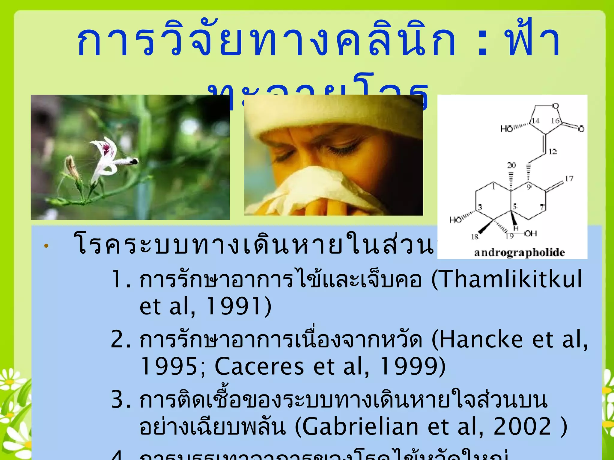 • โรคระบบทางเดินหายในส่วนบน
1. การรักษาอาการไข้และเจ็บคอ (Thamlikitkul
et al, 1991)
2. การรักษาอาการเนื่องจากหวัด (Hancke et al,
1995; Caceres et al, 1999)
3. การติดเชื้อของระบบทางเดินหายใจส่วนบน
อย่างเฉียบพลัน (Gabrielian et al, 2002 )
การวิจัยทางคลินิก : ฟ้า
ทะลายโจร
 