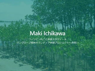 Copyright @ Maki Ichikawa. All right reserved
Maki Ichikawa
フィリピン丸ごと体感スタディー＆
マングローブ植林ボランティア体験プロジェクトへの想い
 