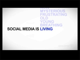  디자인
사용자경험	
 