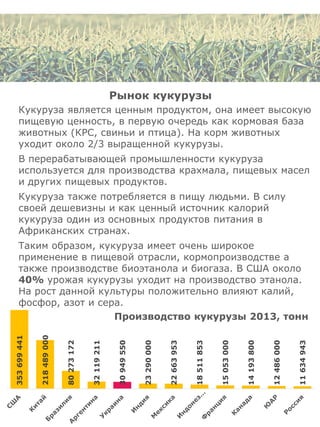 Рынок кукурузы
Кукуруза является ценным продуктом, она имеет высокую
пищевую ценность, в первую очередь как кормовая база
животных (КРС, свиньи и птица). На корм животных
уходит около 2/3 выращенной кукурузы.
В перерабатывающей промышленности кукуруза
используется для производства крахмала, пищевых масел
и других пищевых продуктов.
Кукуруза также потребляется в пищу людьми. В силу
своей дешевизны и как ценный источник калорий
кукуруза один из основных продуктов питания в
Африканских странах.
Таким образом, кукуруза имеет очень широкое
применение в пищевой отрасли, кормопроизводстве а
также производстве биоэтанола и биогаза. В США около
40% урожая кукурузы уходит на производство этанола.
На рост данной культуры положительно влияют калий,
фосфор, азот и сера.
353699441
218489000
80273172
32119211
30949550
23290000
22663953
18511853
15053000
14193800
12486000
11634943
Производство кукурузы 2013, тонн
 