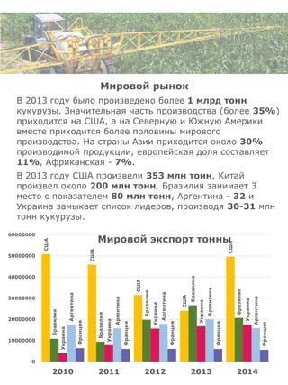Мировой рынок
В 2013 году было произведено более 1 млрд тонн
кукурузы. Значительная часть производства (более 35%)
приходится на США, а на Северную и Южную Америки
вместе приходится более половины мирового
производства. На страны Азии приходится около 30%
производимой продукции, европейская доля составляет
11%, Африканская - 7%.
В 2013 году США произвели 353 млн тонн, Китай
произвел около 200 млн тонн, Бразилия занимает 3
место с показателем 80 млн тонн, Аргентина - 32 и
Украина замыкает список лидеров, производя 30-31 млн
тонн кукурузы.
США
США
США
США
США
Бразилия
Бразилия
Бразилия
Бразилия
Бразилия
Украина
Украина
Украина
Украина
Украина
Аргентина
Аргентина
Аргентина
Аргентина
Аргентина
Франция
Франция
Франция
Франция
Франция
0
10000000
20000000
30000000
40000000
50000000
60000000
2010 2011 2012 2013 2014
Мировой экспорт тонны
 