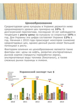191
252 248
228
189
2010 2011 2012 2013 2014
Цена украинского
импорта
Ценообразование
Среднегодовая цена кукурузы в Украине держится ниже
среднемирового уровня цен примерно на 10%. В
долгосрочной перспективе, последние 10 лет наблюдается
тенденция к росту цены на кукурузу со скоростью 10% в
год. Для Украины эта цифра составляет Украине 12% в
год. Начиная с 2010 года происходит некоторое снижение
среднегодовых цен, однако данный рынок имеет большой
потенциал к росту.
Факторами влияния на ценообразование являются такие
факторы как: цены на нефть, развитие альтернативных
рынков кормов (продукты переработки зерна),
альтернативные виды топлива (биоэтанол), а также
смежные рынки пшеницы и ячменя.
51229
298773
738260
523428
482187
238678
449149
730488
556274
393586
0
0
0
26091
330565
6048
109949
141120
255528
298226
9405
49700
176579
294078
240850
2010 2011 2012 2013 2014
Украинский экспорт тыс $Испания
Египет
Китай
Нидерланды
Италия
 