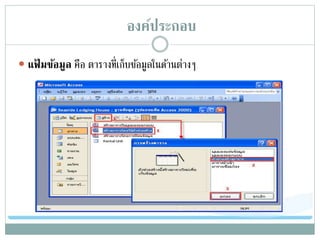 องค์ประกอบ
 แฟ้ มข้อมูล คือ ตารางที่เก็บข้อมูลในด้านต่างๆ
 