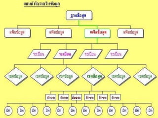 สารสȨทศ๶พื่อประกอบการตัดสิȨจ