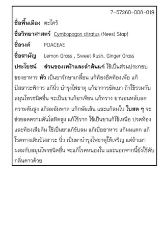 7-57260-008-019
ชื่อพื้นเมือง ตะไคร1
ชื่อวิทยาศาสตร Cymbopogon citratus (Nees) Stapf
ชื่อวงค POACEAE
ชื่อสามัญ Lemon Grass , Sweet Rush, Ginger Grass
ประโยชน สวนของเหง!าและลําต!นแก ใช1เป.นสJวนประกอบ
ของอาหาร หัว เป.นยารักษาเกลื้อน แก1ท1องอืดท1องเฟ}อ แก1
ปQสสาวะพิการ แก1นิ่ว บํารุงไฟธาตุ แก1อาการขัดเบา ถ1าใช1รวมกับ
สมุนไพรชนิดอื่น จะเป.นยาแก1อาเจียน แก1ทราง ยานอนหลับลด
ความดันสูง แก1ลมอัมพาต แก1กษัยเส1น และแก1ลมใบ ใบสด ๆ จะ
ชJวยลดความดันโลหิตสูง แก1ไข1ราก ใช1เป.นยาแก1ไข1เหนือ ปวดท1อง
และท1องเสียต1น ใช1เป.นยาแก1ขับลม แก1เบื่ออาหาร แก1ผมแตก แก1
โรคทางเดินปQสสาวะ นิ่ว เป.นยาบํารุงไฟธาตุให1เจริญ แตJถ1าเอา
ผสมกับสมุนไพรชนิดอื่น จะแก1โรคหนองใน และนอกจากนี้ยังใช1ดับ
กลิ่นคาวด1วย
 