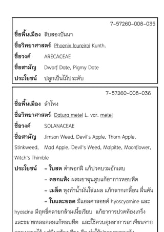 7-57260-008-035
ชื่อพื้นเมือง สิบสองปQนนา
ชื่อวิทยาศาสตร Phoenix loureiroi Kunth.
ชื่อวงค ARECACEAE
ชื่อสามัญ Dwarf Date, Pigmy Date
ประโยชน ปลูกเป.นไม1ประดับ
7-57260-008-036
ชื่อพื้นเมือง ลําโพง
ชื่อวิทยาศาสตร Datura metel L. var. metel
ชื่อวงค SOLANACEAE
ชื่อสามัญ Jimson Weed, Devil's Apple, Thorn Apple,
Stinkweed, Mad Apple, Devil's Weed, Malpitte, Moonflower,
Witch's Thimble
ประโยชน - ใบสด ตําพอกฝP แก1ปวดบวมอักเสบ
- ดอกแห!ง ผสมยาฉุนสูบแก1อาการหอบหืด
- เมล็ด หุงทําน้ํามันใสJแผล แก1กลากเกลื้อน ผื่นคัน
- ใบและยอด มีแอลคาลอยดr hyoscyamine และ
hyoscine มีฤทธิ์คลายกล1ามเนื้อเรียบ แก1อาการปวดท1องเกร็ง
และขยายหลอดลมแก1หอบหืด และใช1ควบคุมอาการอาเจียนจาก
 