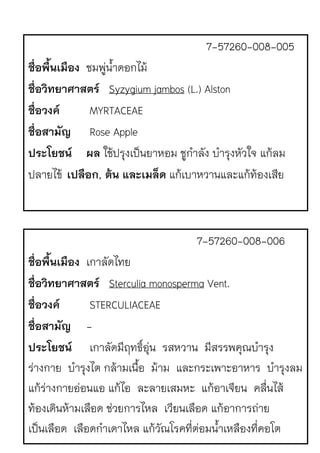 7-57260-008-002
ชือพืนเมือง ชาทอง , เทียนทอง
ชือวิทยาศาสตร์ Duranta repens L.
ชือวงค์ VERBENACEAE
ชือสามัญ Golden dewdrop, Pigeon berry, Sky- flower
ประโยชน์ ใช้ตกแต่งสวน ปลูกเป็นรัว เพราะมีใบสีเหลืองอ่อน สวยงาม ใบสดใช้ห้ามเลือด แก้ฝีฝักบัว แก้อักเสบบวมเป็นหนอง เมล็ด
แห้งใช้ ชงนํารับประทานแก้ไข้มาลาเรีย แก้ชําใ
7-57260-008-005
ชื่อพื้นเมือง ชมพูJน้ําดอกไม1
ชื่อวิทยาศาสตร Syzygium jambos (L.) Alston
ชื่อวงค MYRTACEAE
ชื่อสามัญ Rose Apple
ประโยชน ผล ใช1ปรุงเป.นยาหอม ชูกําลัง บํารุงหัวใจ แก1ลม
ปลายไข1 เปลือก, ต!น และเมล็ด แก1เบาหวานและแก1ท1องเสีย
7-57260-008-006
ชื่อพื้นเมือง เกาลัดไทย
ชื่อวิทยาศาสตร Sterculia monosperma Vent.
ชื่อวงค STERCULIACEAE
ชื่อสามัญ -
ประโยชน เกาลัดมีฤทธิ์อุJน รสหวาน มีสรรพคุณบํารุง
รJางกาย บํารุงไต กล1ามเนื้อ ม1าม และกระเพาะอาหาร บํารุงลม
แก1รJางกายอJอนแอ แก1ไอ ละลายเสมหะ แก1อาเจียน คลื่นไส1
ท1องเดินห1ามเลือด ชJวยการไหล เวียนเลือด แก1อาการถJาย
เป.นเลือด เลือดกําเดาไหล แก1วัณโรคที่ตJอมน้ําเหลืองที่คอโต
 