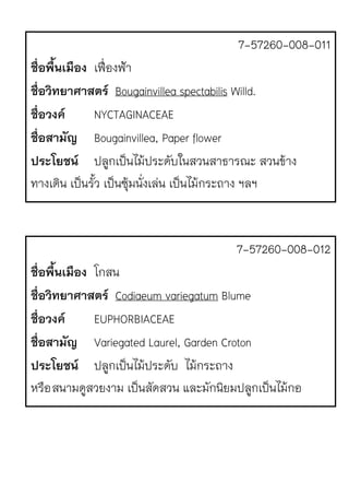 7-57260-008-011
ชื่อพื้นเมือง เฟ{|องฟ}า
ชื่อวิทยาศาสตร Bougainvillea spectabilis Willd.
ชื่อวงค NYCTAGINACEAE
ชื่อสามัญ Bougainvillea, Paper flower
ประโยชน ปลูกเป.นไม1ประดับในสวนสาธารณะ สวนข1าง
ทางเดิน เป.นรั้ว เป.นซุ1มนั่งเลJน เป.นไม1กระถาง ฯลฯ
7-57260-008-012
ชื่อพื้นเมือง โกสน
ชื่อวิทยาศาสตร Codiaeum variegatum Blume
ชื่อวงค EUPHORBIACEAE
ชื่อสามัญ Variegated Laurel, Garden Croton
ประโยชน ปลูกเป.นไม1ประดับ ไม1กระถาง
หรือสนามดูสวยงาม เป.นสัดสวน และมักนิยมปลูกเป.นไม1กอ
 