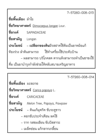 7-57260-008-013
ชื่อพื้นเมือง ลําไย
ชื่อวิทยาศาสตร Dimocarpus longan Lour.
ชื่อวงค SAPINDACEAE
ชื่อสามัญ Longan
ประโยชน - เปลือกของต!นมีรสฝาดใช1ต1มเป.นยาหม1อแก1
ท1องรJวง ลําต1นสามารถ ใช1ทําเครื่องใช1ประดับบ1าน
- ผลสามารถ บริโภคสด ตากแห1งสามารถทําเป.นชาชงใช1
ดื่ม เป.นยาบํารุงกําลังชJวยให1หลับสบายเจริญอาหาร
7-57260-008-014
ชื่อพื้นเมือง มะละกอ
ชื่อวิทยาศาสตร Carica papaya L.
ชื่อวงค CARICACEAE
ชื่อสามัญ Melon Tree, Papaya, Pawpaw
ประโยชน - ต1นแก1มุตกิด ขับระดูขาว
- ดอกขับประจําเดือน ลดไข1
- ราก รสขมเอียน ขับปQสสาวะ
- เมล็ดอJอน แก1กลากเกลื้อน
 