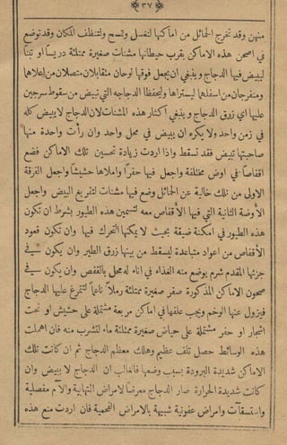 مجلة الزراعة المصرية