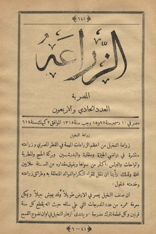 مجلة الزراعة المصرية