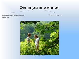 Функции внимания
Избирательность познавательных
процессов
Социальная функция
http://www.sxc.hu/photo/627218
 