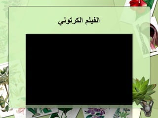 ‫الكرتوني‬ ‫الفيلم‬
 